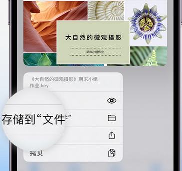 凉山apple维修中心分享iPhone文件应用中存储和找到下载文件