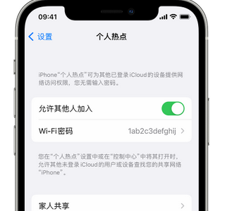 凉山apple服务站点分享iPhone上个人热点丢失了怎么办 