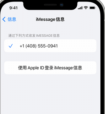 凉山apple维修iPhone上无法正常发送iMessage信息 