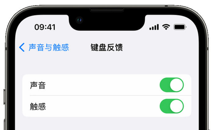 凉山苹果手机维修分享iPhone 14触感键盘使用方法 