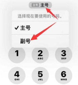 凉山苹果14维修店分享iPhone 14 Pro Max使用副卡打电话的方法 