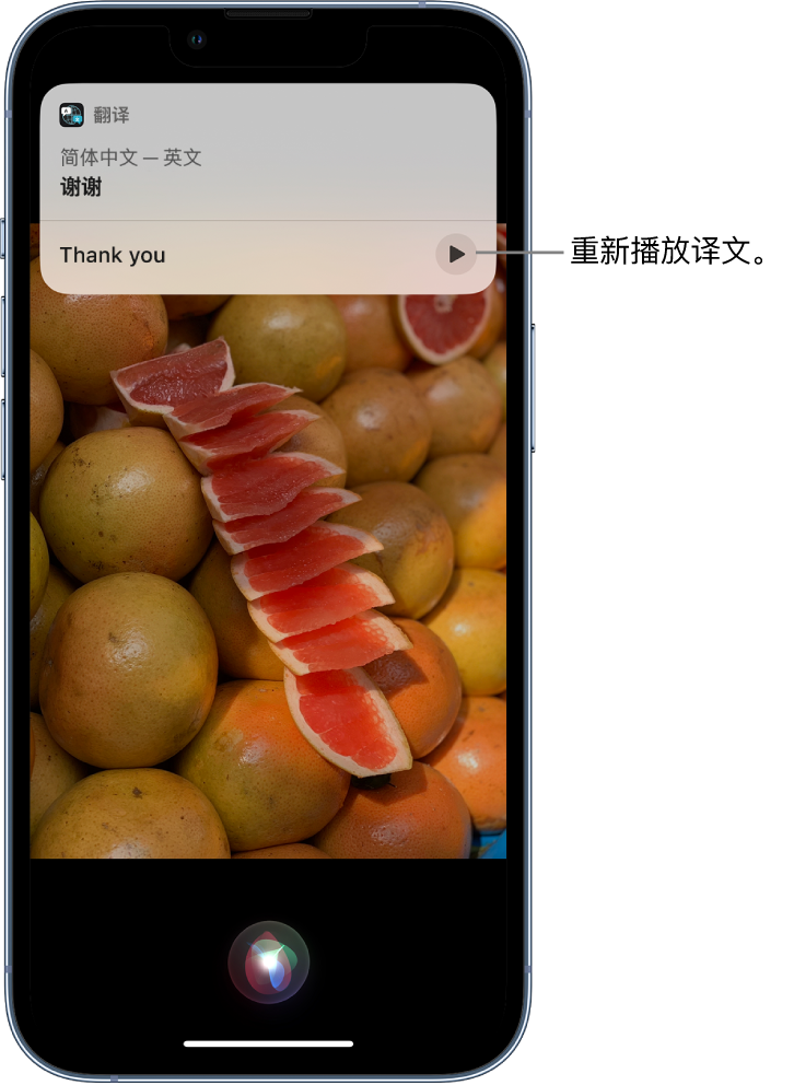 凉山苹果14维修分享 iPhone 14 机型中使用 Siri：了解 Siri 能帮你做什么 