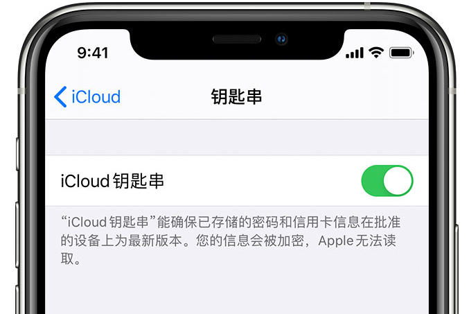 凉山苹果手机维修分享在 iPhone 上开启 iCloud 钥匙串之后会储存哪些信息 