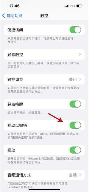 凉山苹果手机维修分享iPhone手机如何设置摇一摇删除文字 