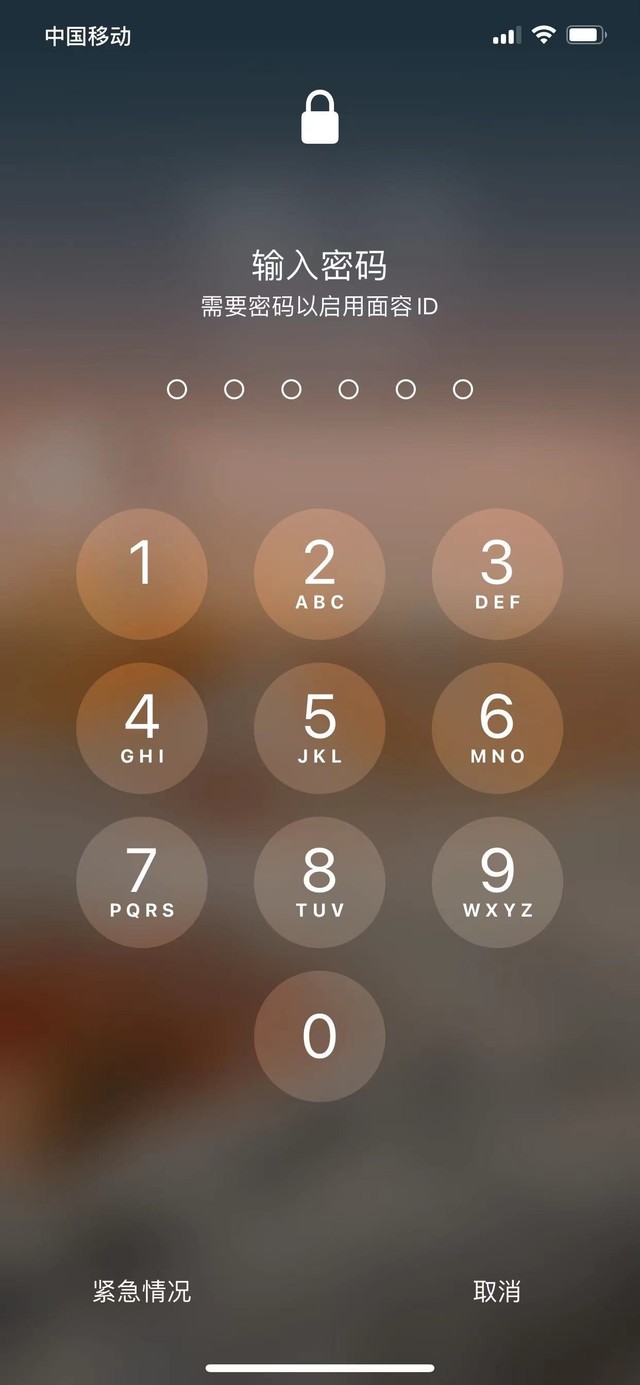 凉山苹果13维修分享iPhone 13加强锁屏功能有什么用 