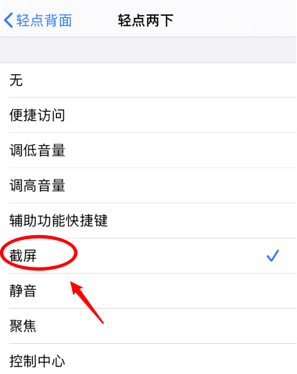 凉山苹果手机维修分享iPhone12如何启用双击截屏 