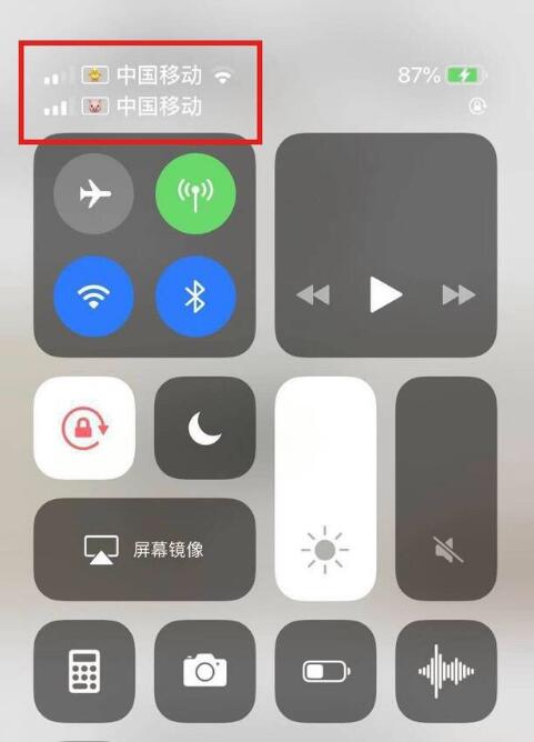 凉山苹果手机维修分享为 iPhone 12 双卡设置标签 